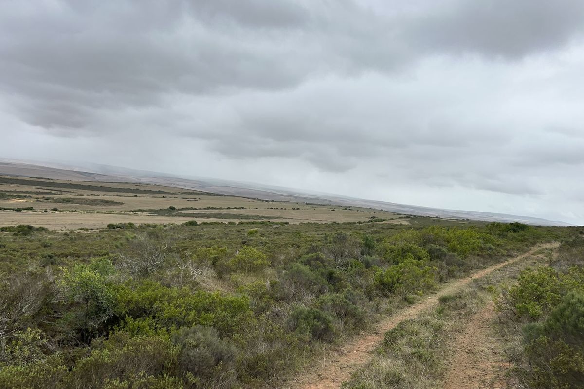 Farm For Sale in Mossel Bay Rural - Photo 5