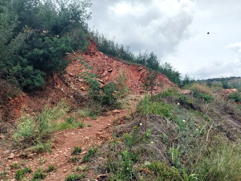 Vacant Land Residential For Sale in Helderkruin - Photo 2