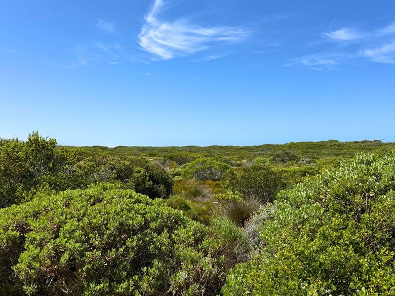 Vacant Land Residential For Sale in Pearly Beach - Photo 7