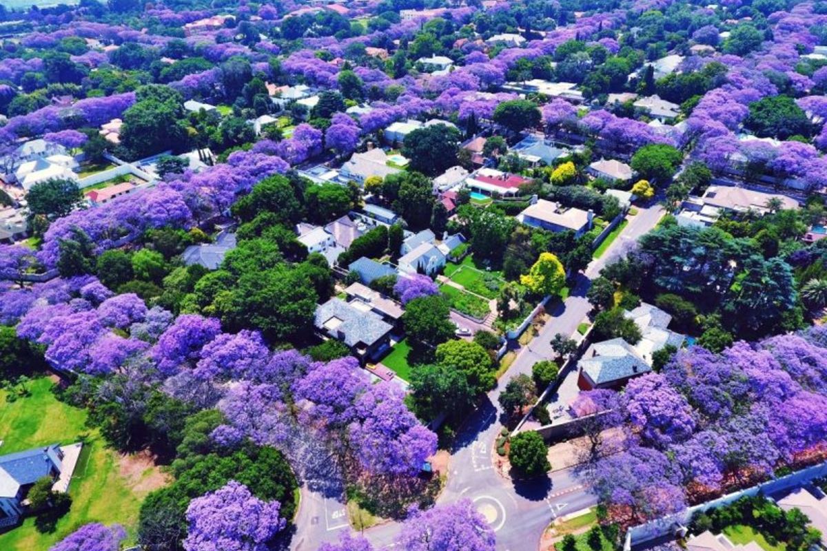 House For Sale in Riviera - Photo 2