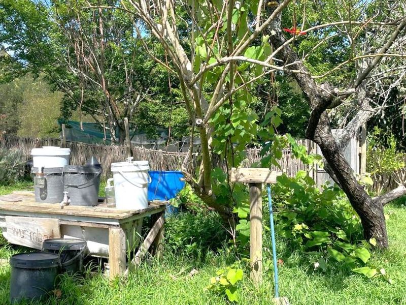 Farm For Sale in Sedgefield Rural - Photo 9