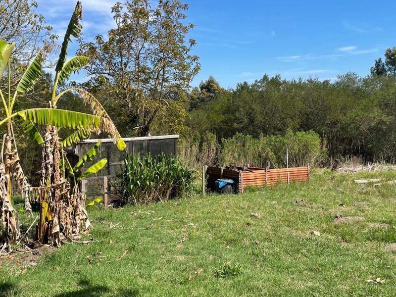 Farm For Sale in Sedgefield Rural - Photo 3