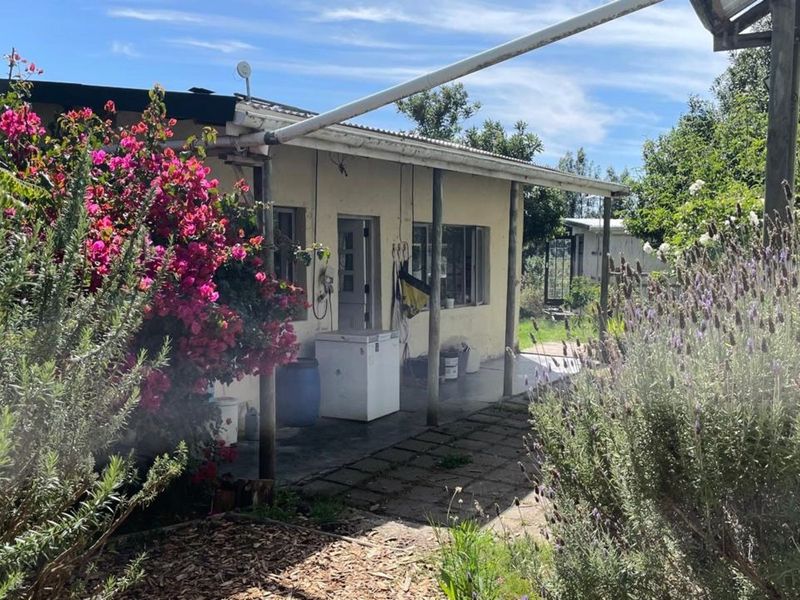 Farm For Sale in Sedgefield Rural - Photo 10