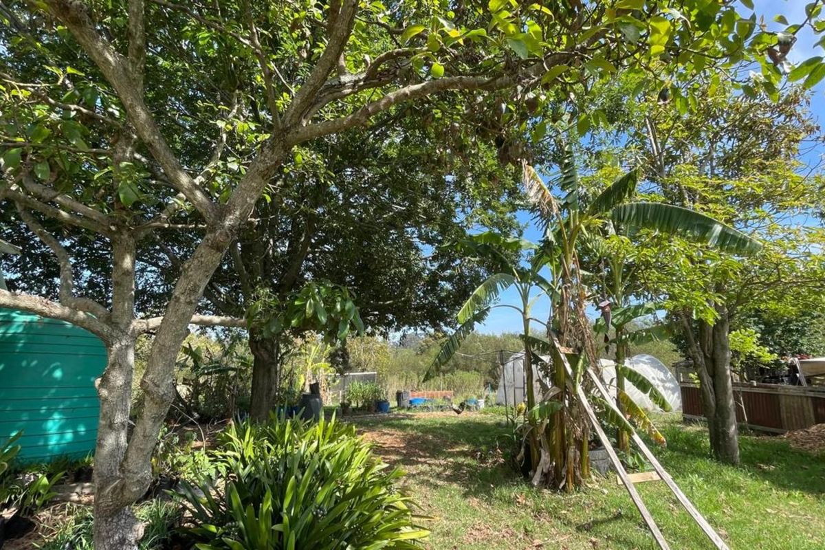 Farm For Sale in Sedgefield Rural - Photo 5