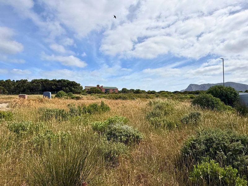 Vacant Land Residential For Sale in Kleinbaai - Photo 6