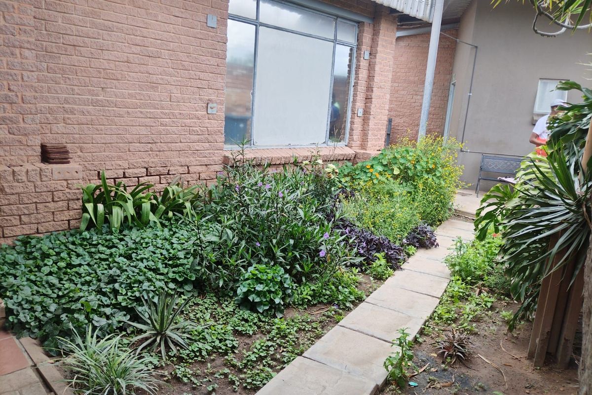 Retail For Sale in Laboria - Photo 2