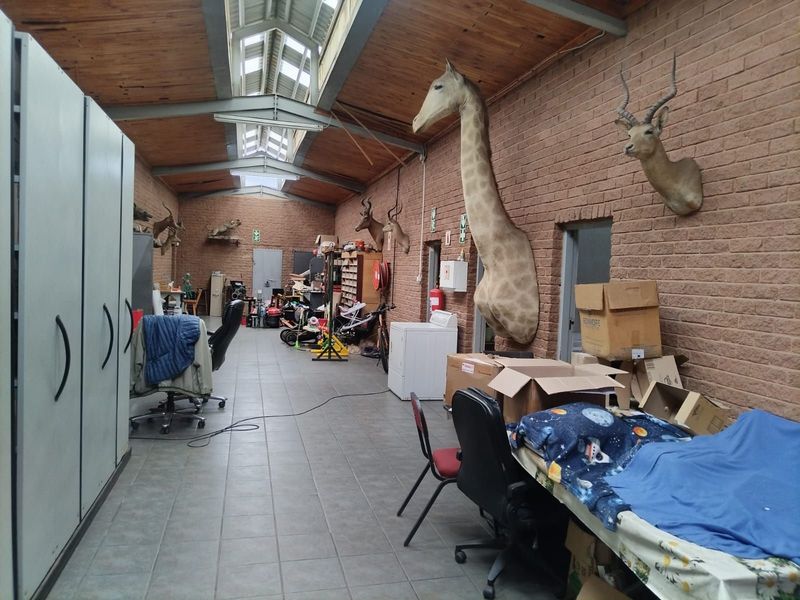 Retail For Sale in Laboria - Photo 4