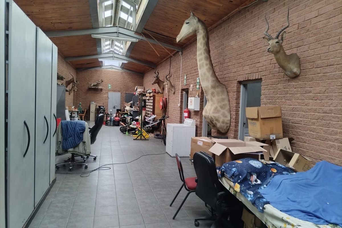 Retail For Sale in Laboria - Photo 4