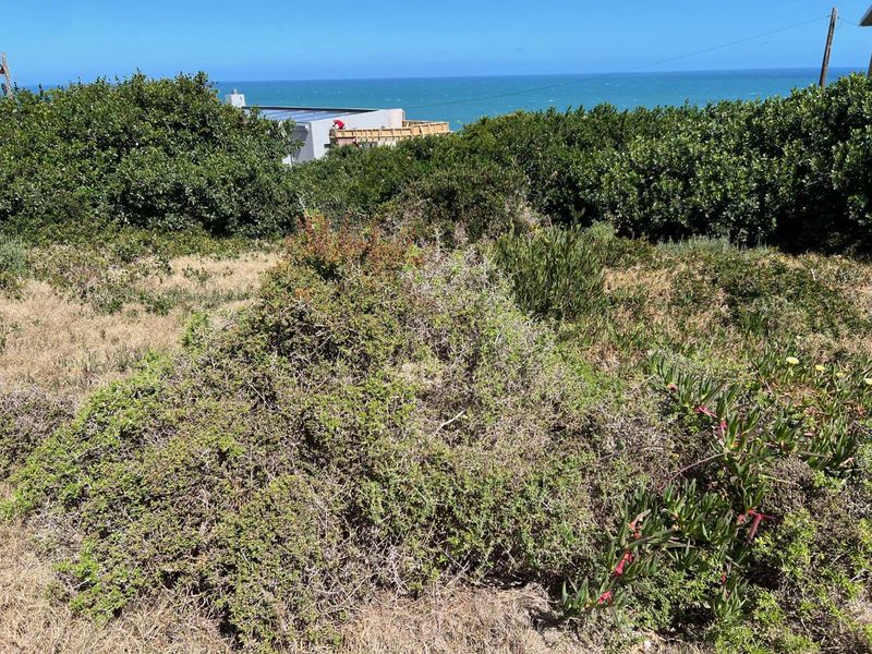 Vacant Land Residential For Sale in Dana Bay - Photo 3