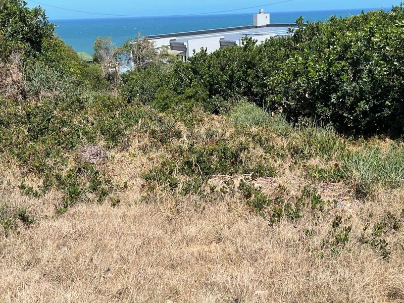 Vacant Land Residential For Sale in Dana Bay - Photo 4