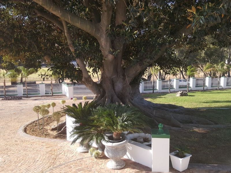 House For Sale in Dalsig - Photo 7