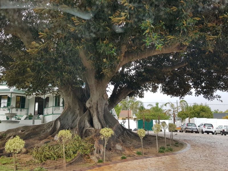 House For Sale in Dalsig - Photo 5