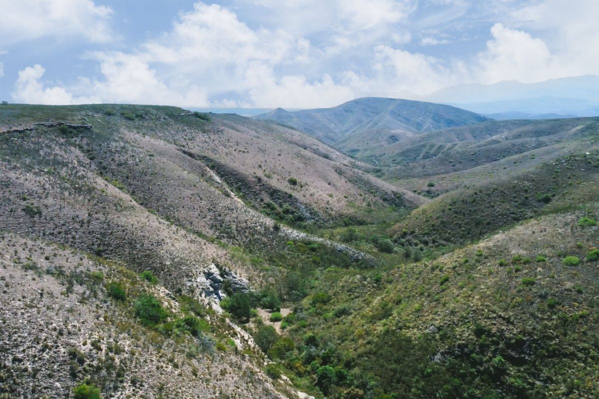 Farm For Sale in Herbertsdale - Photo 5