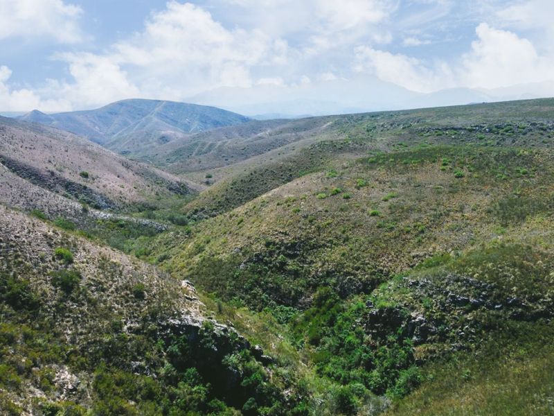 Farm For Sale in Herbertsdale - Photo 4