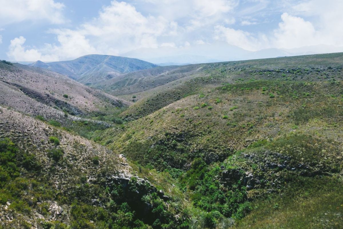 Farm For Sale in Herbertsdale - Photo 4