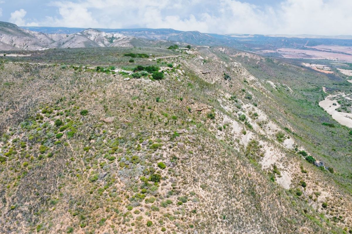 Farm For Sale in Herbertsdale - Photo 3