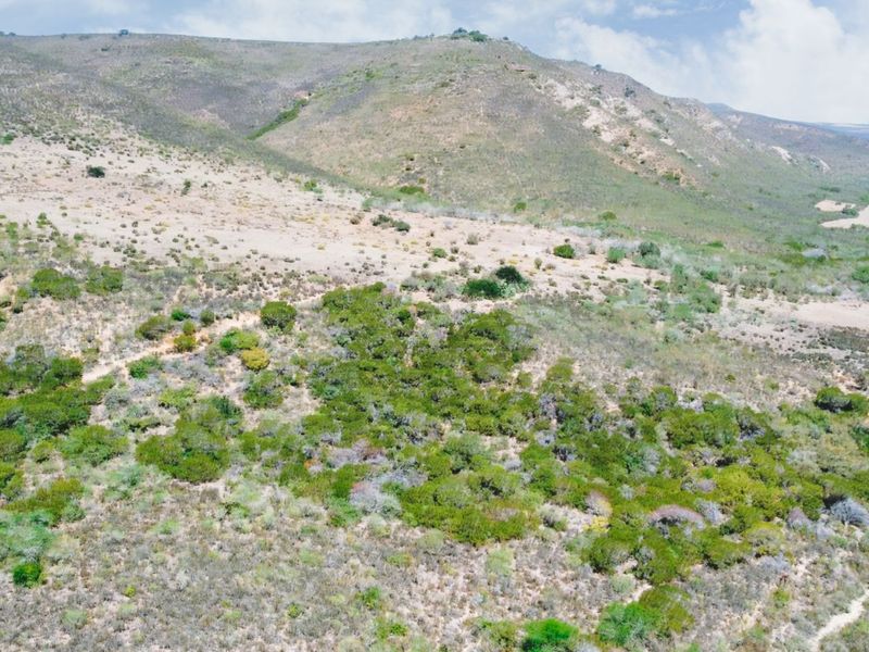 Farm For Sale in Herbertsdale - Photo 9