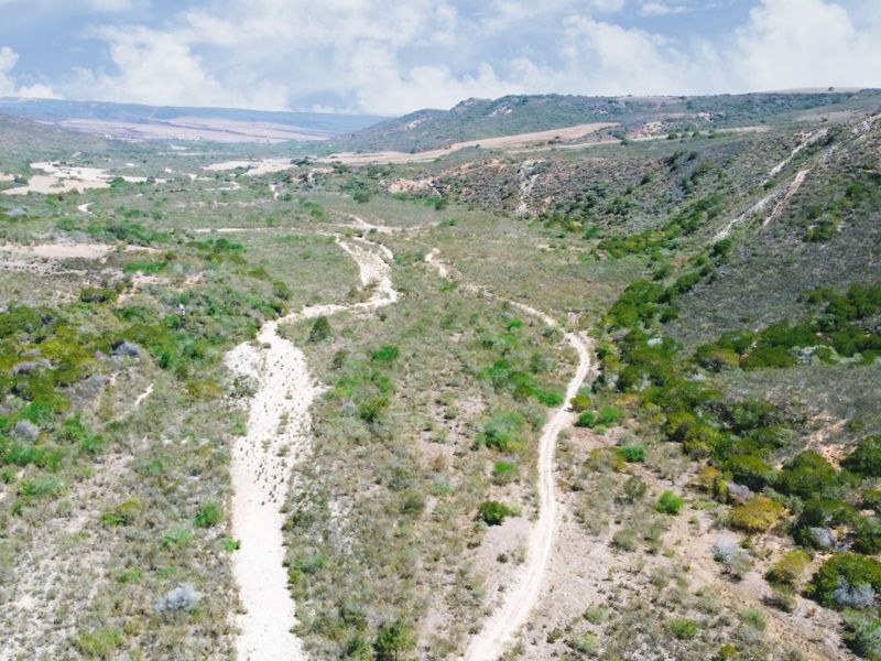 Farm For Sale in Herbertsdale - Photo 8