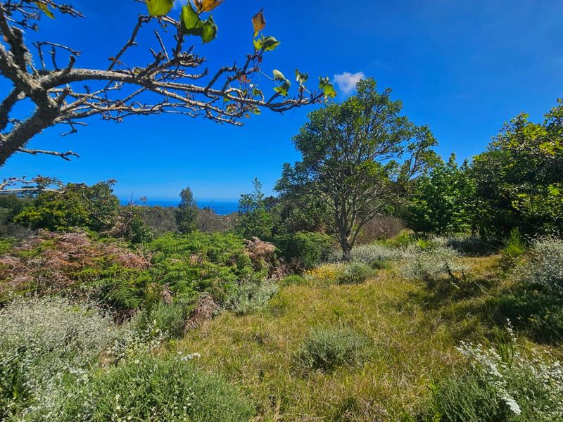 Farm For Sale in Hoekwil - Photo 10