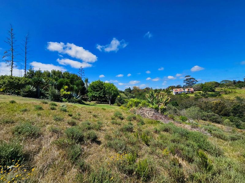 Farm For Sale in Hoekwil - Photo 9