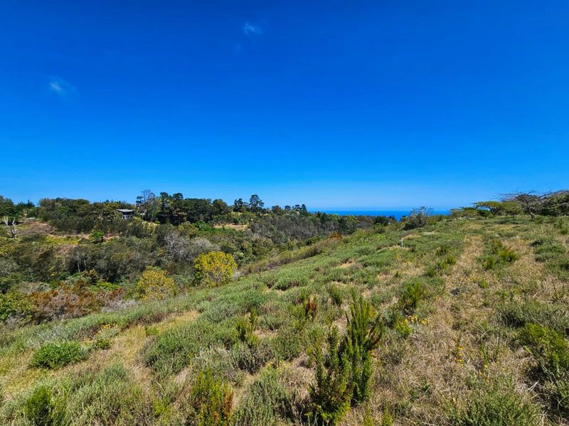 Farm For Sale in Hoekwil - Photo 8