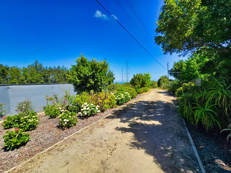 Farm For Sale in Hoekwil - Photo 3