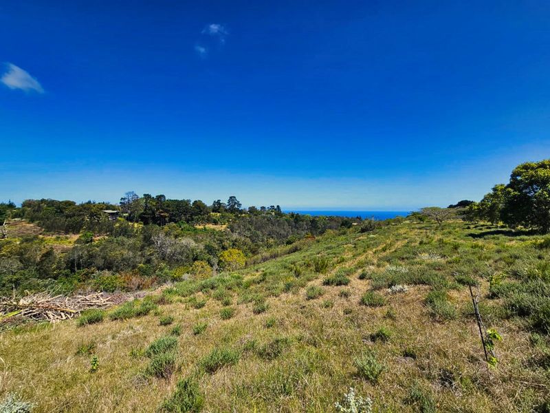 Farm For Sale in Hoekwil - Photo 7