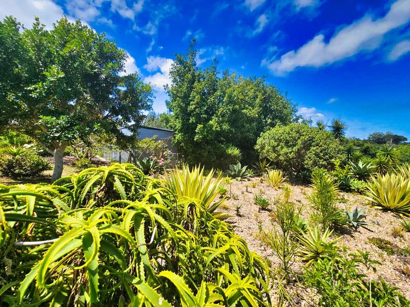 Farm For Sale in Hoekwil - Photo 6