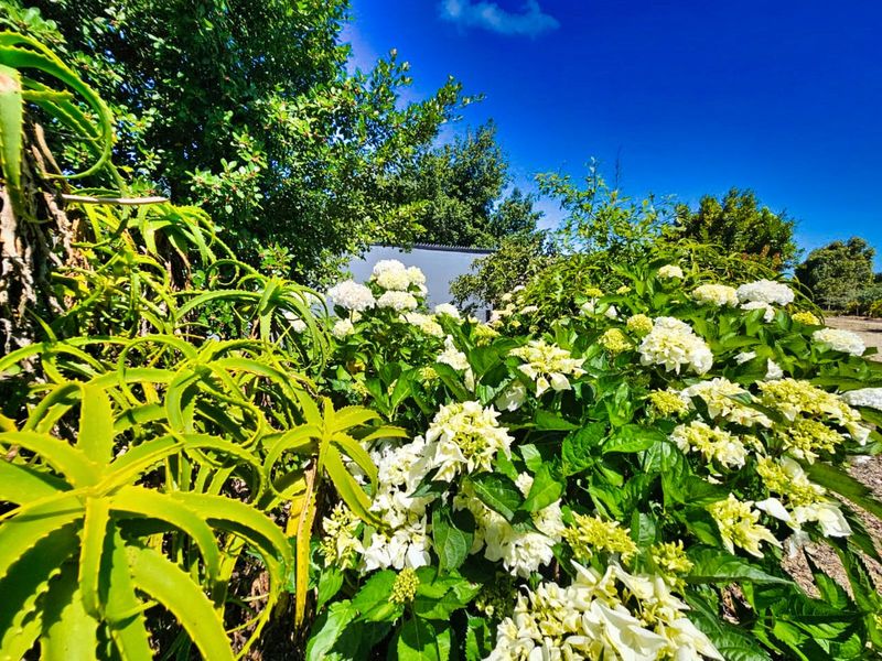 Farm For Sale in Hoekwil - Photo 5