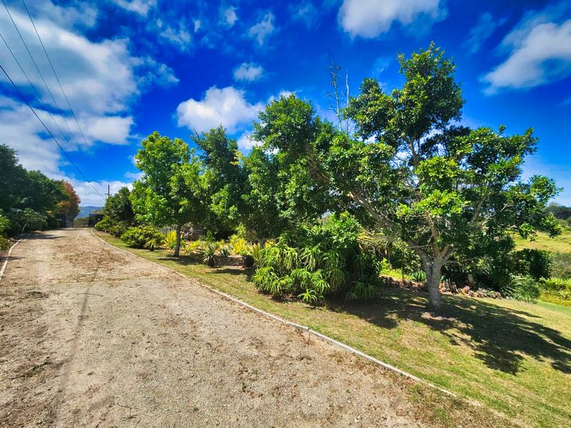 Farm For Sale in Hoekwil - Photo 4