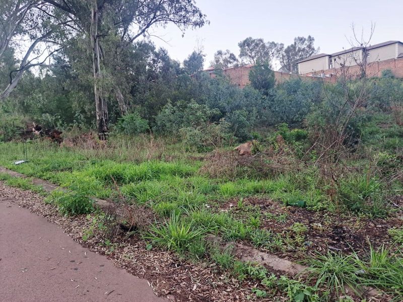 Vacant Land Residential For Sale in Waterkloof - Photo 10