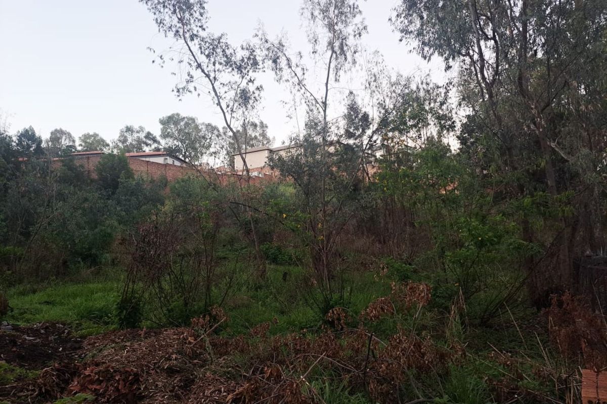 Vacant Land Residential For Sale in Waterkloof - Photo 5