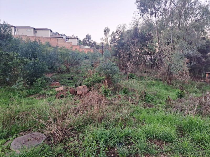 Vacant Land Residential For Sale in Waterkloof - Photo 3