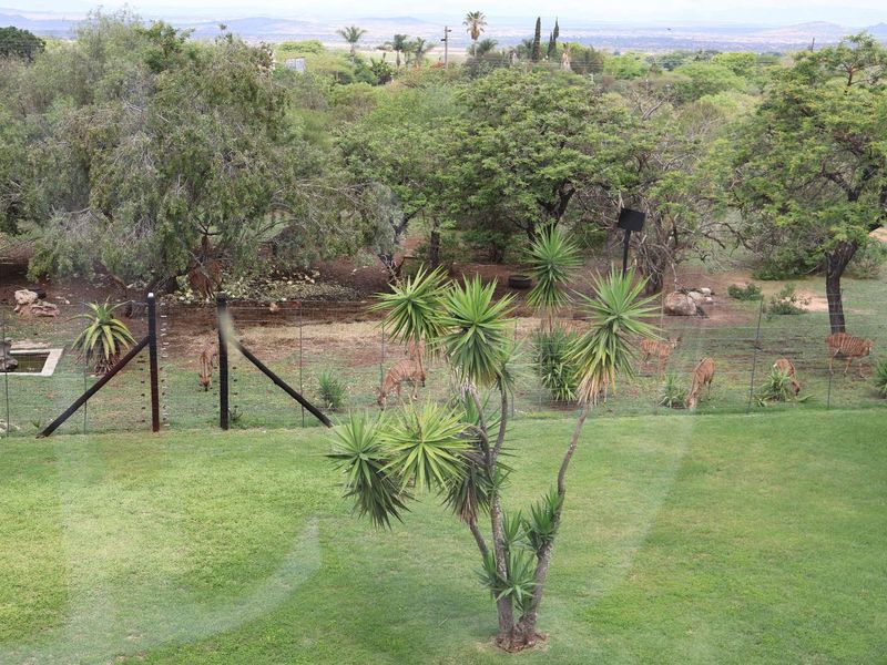 Farm For Sale in Dalmada AH - Photo 3