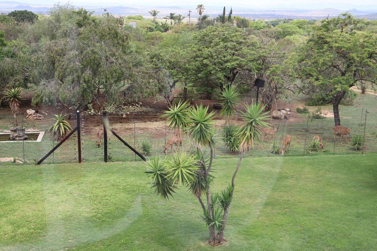 Farm For Sale in Dalmada AH - Photo 3