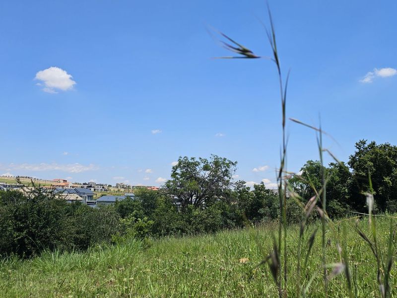 Vacant Land Residential For Sale in The Hills Game Reserve Estate - Photo 3