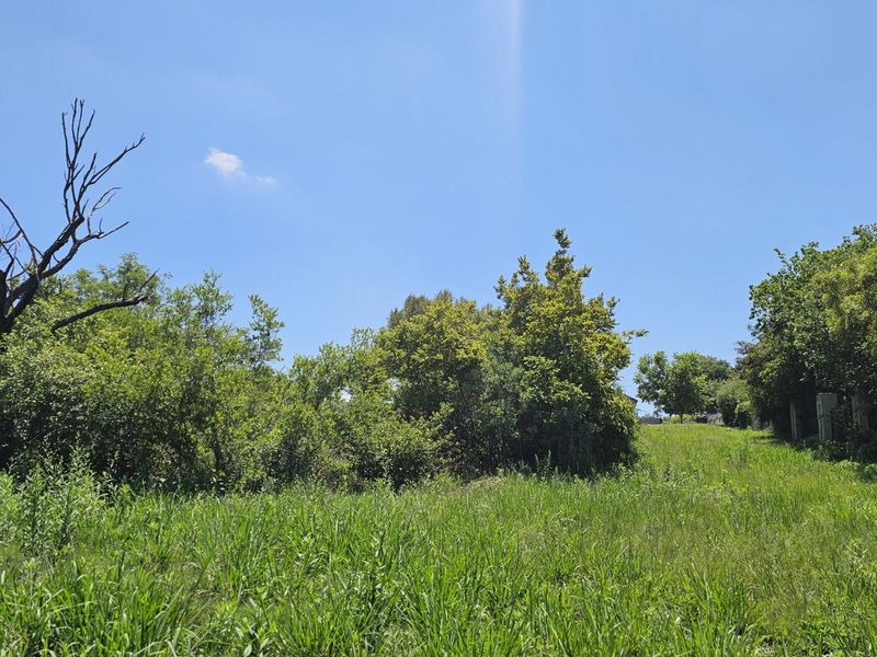 Vacant Land Residential For Sale in The Hills Game Reserve Estate - Photo 10