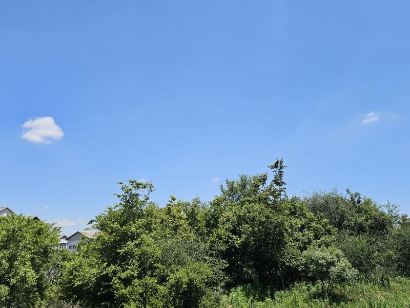 Vacant Land Residential For Sale in The Hills Game Reserve Estate - Photo 7