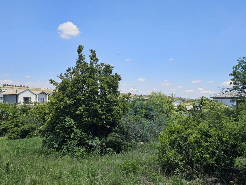 Vacant Land Residential For Sale in The Hills Game Reserve Estate - Photo 4