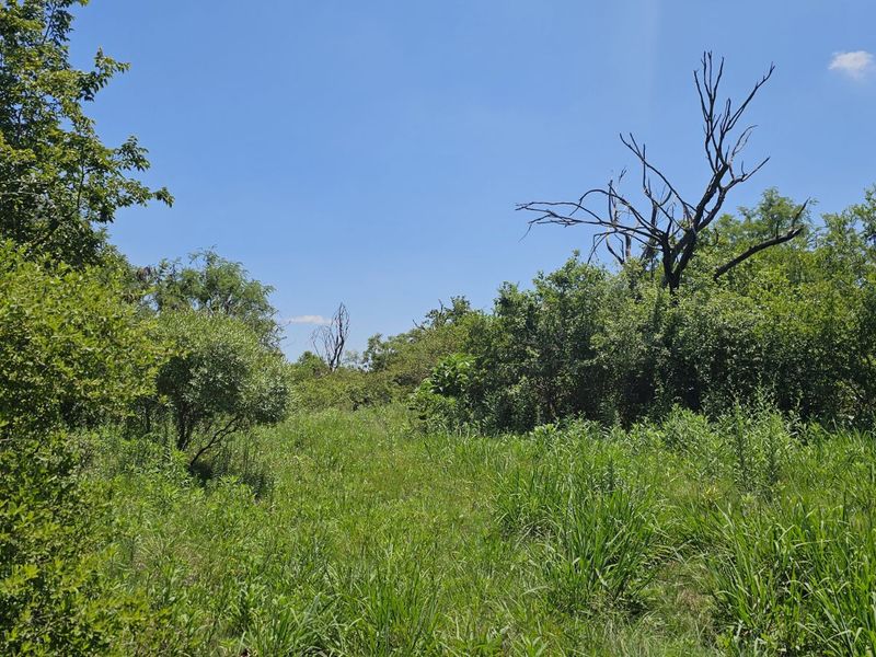 Vacant Land Residential For Sale in The Hills Game Reserve Estate - Photo 8