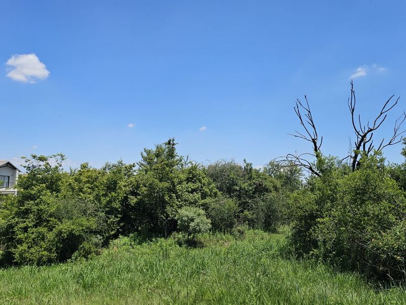 Vacant Land Residential For Sale in The Hills Game Reserve Estate - Photo 6