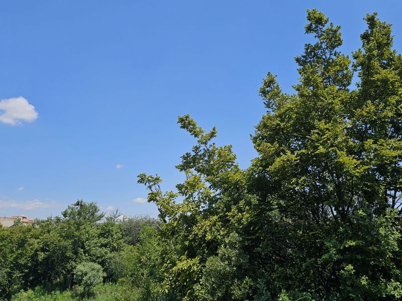 Vacant Land Residential For Sale in The Hills Game Reserve Estate - Photo 5