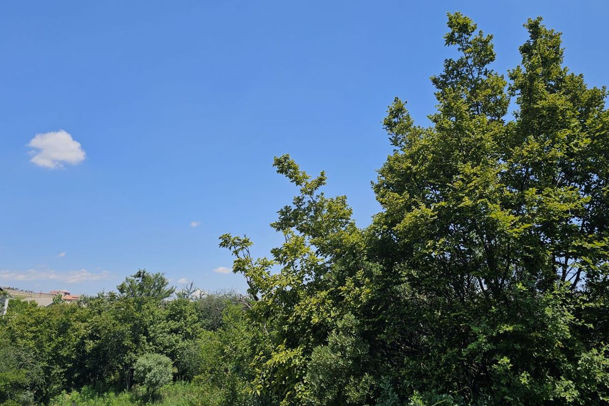 Vacant Land Residential For Sale in The Hills Game Reserve Estate - Photo 5