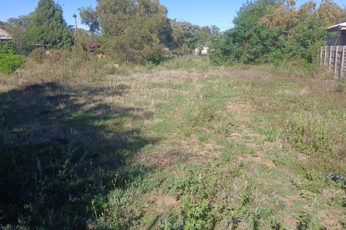 Vacant Land Residential For Sale in Bultfontein Central - Photo 4