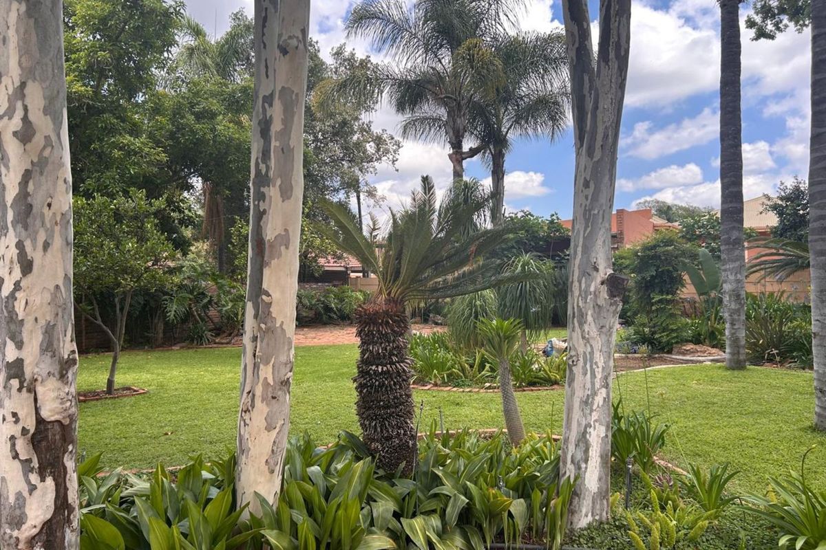 House For Sale in Polokwane Central - Photo 4