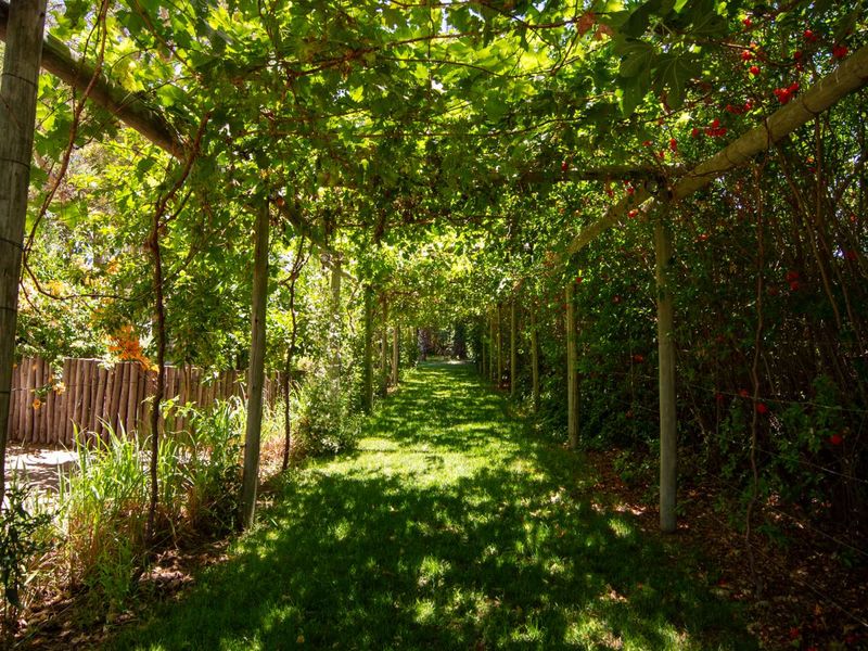 Farm For Sale in Kanoneiland - Photo 7