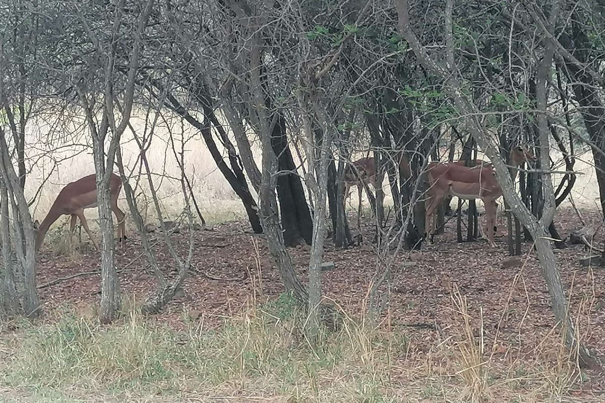 Vacant Land Residential For Sale in Koro Creek Golf Estate - Photo 3