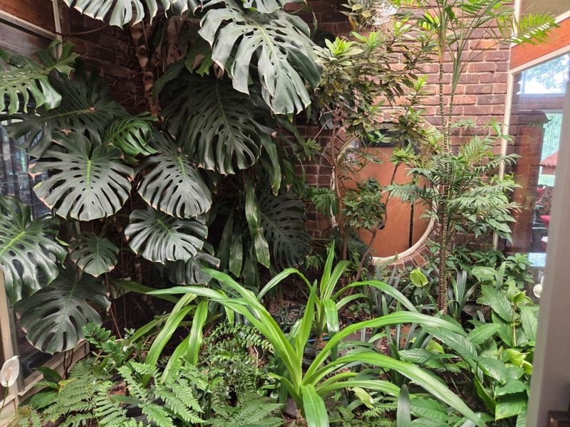 House For Sale in Bendor - Photo 6