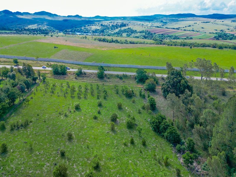 Vacant Land Residential For Sale in Lammermoor - Photo 5