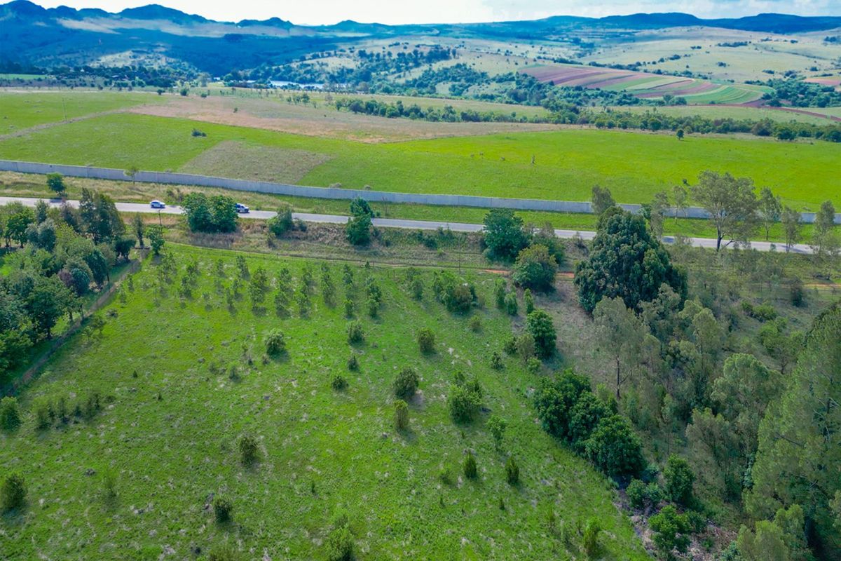 Vacant Land Residential For Sale in Lammermoor - Photo 5